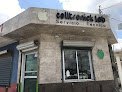 Negocio Celltronick Lab
